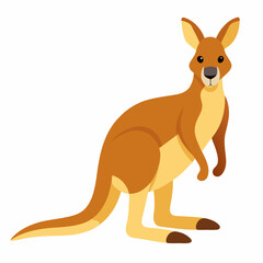 kangaroo cartoon illustration