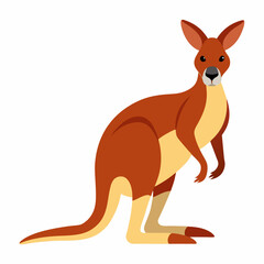 kangaroo with baby vector