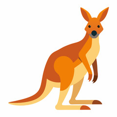 kangaroo illustration