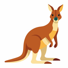 kangaroo illustration