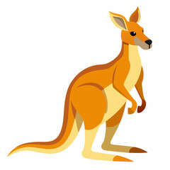 kangaroo with baby vector