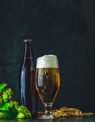 Glass and bottle of beer with hops and barley on dark background