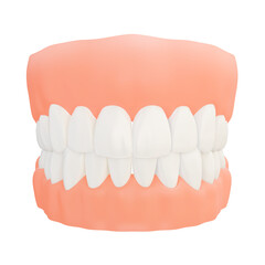 Human Dentition 3D Model: A realistic 3D model of a human jaw with a full set of teeth, showcasing accurate anatomical details.