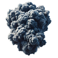 broccoli isolated on white