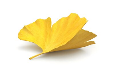 Naklejka premium Yellow Ginkgo Leaf Isolated White Background Autumn Design