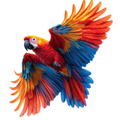 Colorful macaw flying gracefully through the vibrant sky above a tropical landscape surrounded by lush greenery isolated on transparent background