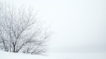 Naklejka premium A snow-covered tree stands alone in a vast, white landscape. The scene is serene and peaceful, embodying the quiet beauty of winter.
