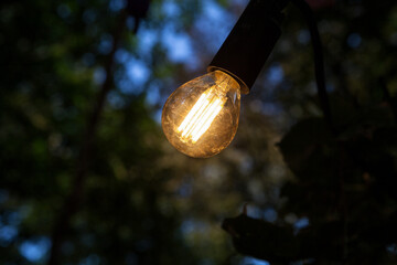 Edison light bulb shines at dusk in a garden against a blurred background