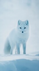 A majestic arctic fox stands gracefully in a snowy landscape, embodying the beauty and resilience of nature in winter.