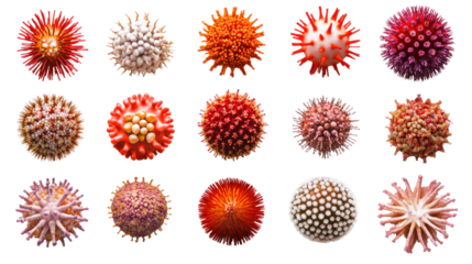 Vibrant spheres showcase intricate microorganism designs, isolated on a transparent background. PNG