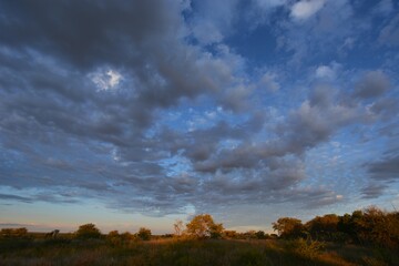 Buschsavanne in Zentral Namibia