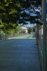 A peaceful bike path, surrounded by trees