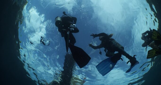 scuba divers starting or ending the dive underwater shallow 