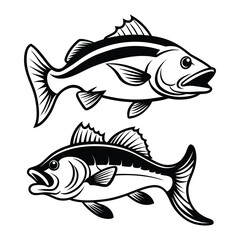 Set of black and white of largemouth bass fish vector...