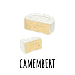 Half head and pieces Camembert cheese. Vector color icon isolated on white background.