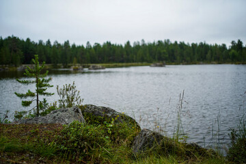 Nice picture Norway Lofoten fjord 