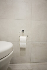 Neatly arranged bathroom with toilet and toilet paper holder