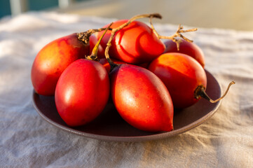 Eco farming in Spain, organic ripe red tamarillo tomato tree tropical fruits from Tenerife island and blue sea view, Canary islands © barmalini