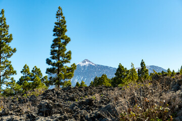 View on volcano Teide from La Vega and Icod de los Vinos, north of Tenerife in January, Canary...