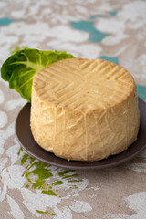 Cheese collection, piece of round fresh smoked Spanish goat cheese close up