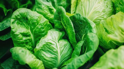 Obraz premium Fresh Green Leafy Vegetables for Healthy Cooking and Nutrition