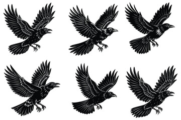 a crow in mid flight vector art on the white background