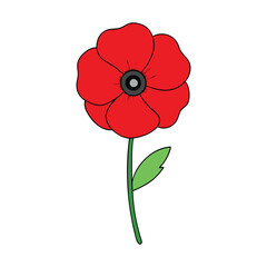 Poppy flower on a white background.