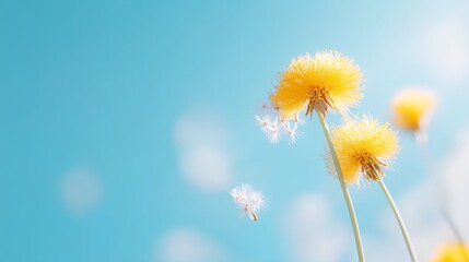 Obraz premium Yellow flower with a blue sky in the background