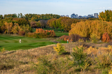 Fototapeta premium A golf course with a man walking on the green