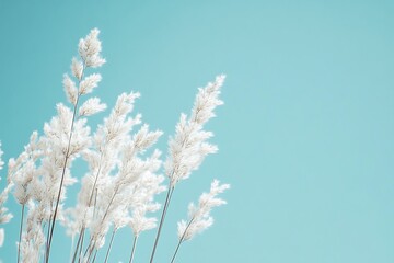 White reeds sway gracefully against a serene blue sky
