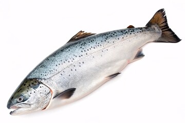 Obraz premium Close-Up of a Salmon on White Background