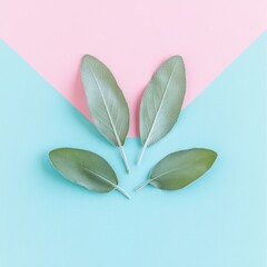 Minimalistic Happy Easter concept featuring bunny ears crafted from natural green leaves, set against a pastel pink and blue background, in a flat lay style
