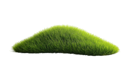 green grass isolated on white , transparent , png