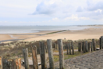 Blick auf die Küstenlandschaft von Nieuwvliet-Bad in den Niederlanden