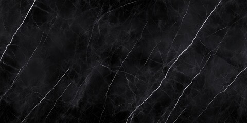 Elegant black marble texture with white veins