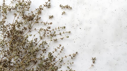 A close-up of dried thyme leaves scattered on a white surface