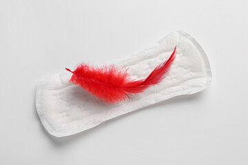 Menstrual pad with red feather on white background, top view