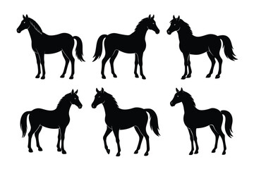  A simple standing horse silhouette with minimal details, vector art