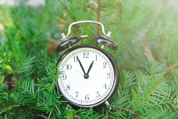 Alarm clock on beautiful green branches, closeup