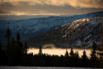 Winter landscape in the park. Winter scene. Norway, Europe.