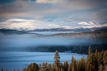 Winter landscape in the park. Winter scene. Norway, Europe.