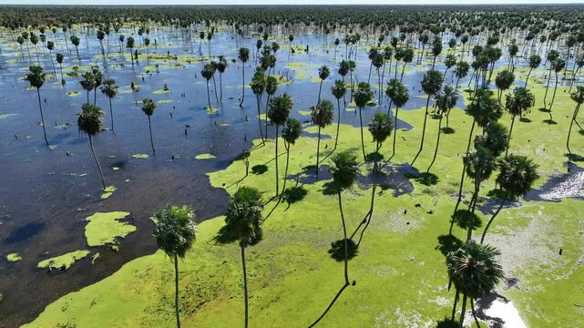 Drone en Ba&ntilde;ado La Estrella, Formosa, Argentina