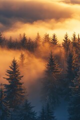 Obraz premium Trees covered by heavy snow in winter forest