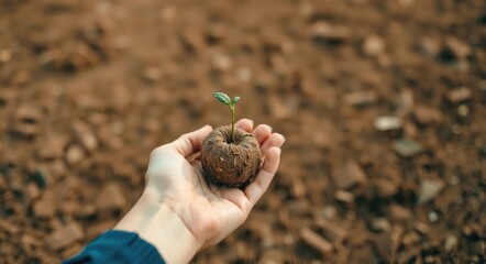 hand holds a seed ball with a sprout on the background of an empty earth. earth balls. nendo dango. Guerrilla gardening
