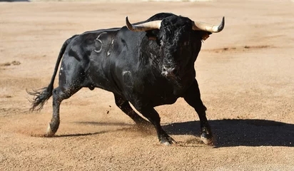 Fotobehang Stierenvechten a brave bull in a traditional spectacle of bullfight in spain  © alberto