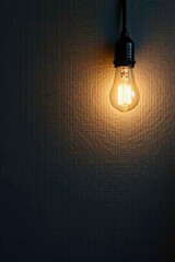 Softly glowing light bulb on a darkened wall background, gray background, solo, illumination