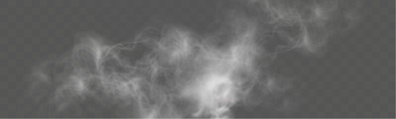 Realistic white smoke or mist effect with soft, swirling patterns on a transparent background. Perfect for overlays and atmospheric designs.	