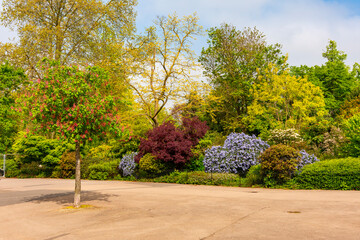 Fototapety na wymiar - Fototapeta24.pl