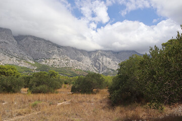 Picturesque landscape of mountain peaks hidden behind clouds, olive trees at the foot of the mountains
