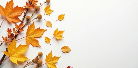 Golden brown leaves scatter on a crisp white surface, flat lay, dried flowers, nature scene